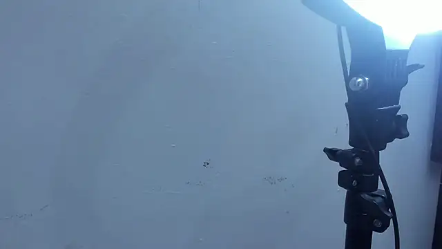 Kevinfox23cms online show from 11/11/25, 06:46