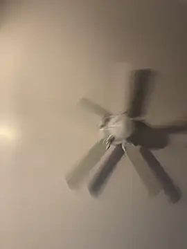 pmonie online show from 11/16/25, 12:05