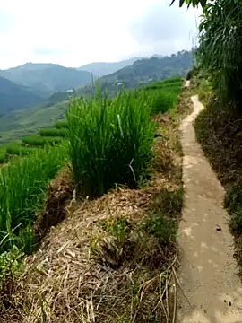 Snapshot of nhinhi-sexy chatting on 10/10/25, 05:39 nhinhi-sexy online show from 10/10/25, 05:39