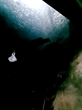 mntzz88 online show from 10/31/25, 04:24