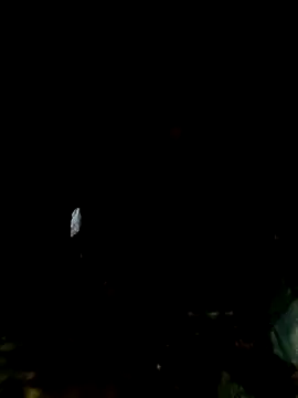 mntzz88 online show from 11/01/25, 11:07