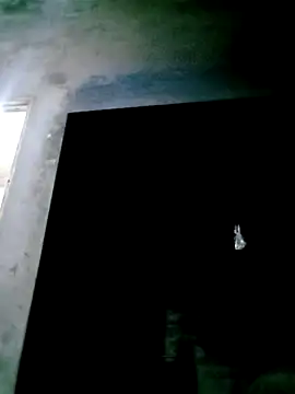 mntzz88 online show from 11/04/25, 11:53