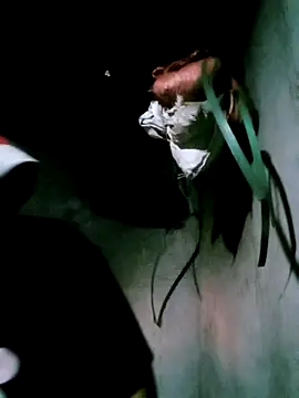 bae-bae online show from 11/06/25, 11:22