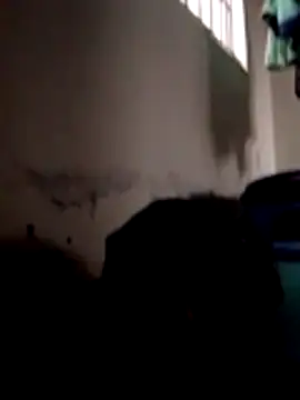 ibusserd online show from 11/24/25, 06:24