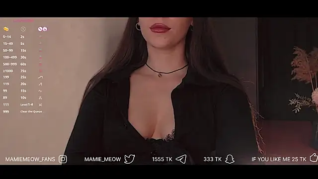 Snapshot of Mamiemeow chatting on 02/06/25, 02:48 Mamiemeow online show from 02/06/25, 02:48