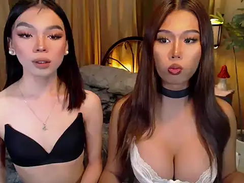 TWINKTRANSSHANEL online show from 10/09/25, 04:21