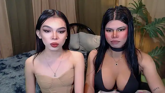 TWINKTRANSSHANEL online show from 10/17/25, 09:34