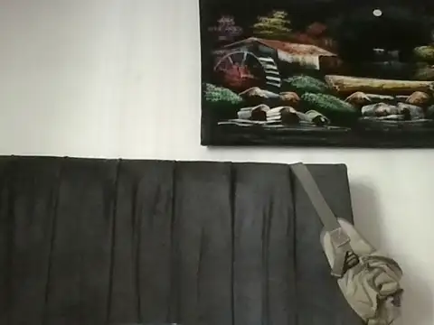 Snapshot of cerdo14562 chatting on 11/28/25, 04:20 cerdo14562 online show from 11/28/25, 04:20