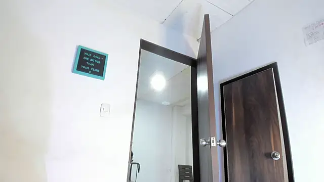 Dann 17  online show from 11/15/25, 12:02