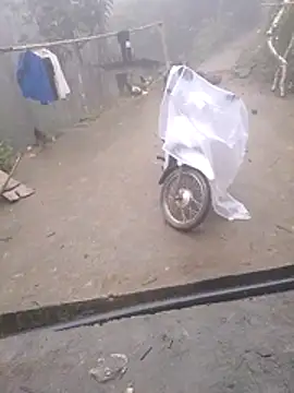 Ripe me online show from 11/12/25, 12:11