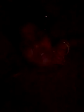 Snapshot of Tg_sonam chatting on 10/23/25, 04:17 Tg sonam online show from 10/23/25, 04:17