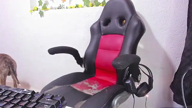 Snapshot of soffycarter1 chatting on 11/25/25, 11:16 soffycarter1 online show from 11/25/25, 11:16