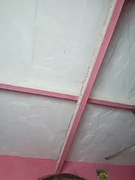 Snapshot of Ut_kanchna chatting on 11/15/25, 02:35 Ut kanchna online show from 11/15/25, 02:35