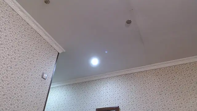 maybe doll online show from 10/23/25, 09:46