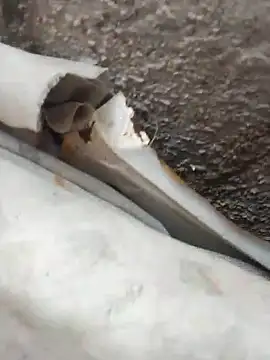 blackhot30 online show from 10/12/25, 07:13