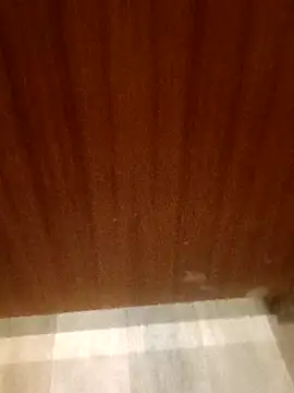 leeya14 online show from 10/11/25, 04:12