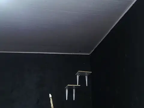 Snapshot of Liastark chatting on 11/30/25, 10:41 Liastark online show from 11/30/25, 10:41