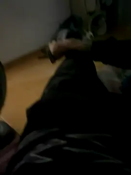 Snapshot of Gomes177 chatting on 10/12/25, 04:17 Gomes177 online show from 10/12/25, 04:17