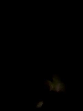 an-show online show from 12/04/25, 01:04