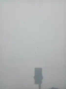 strip queennn online show from 11/10/25, 05:45