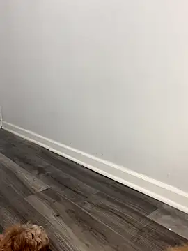 Snapshot of shantallroos chatting on 11/28/25, 09:28 shantallroos online show from 11/28/25, 09:28