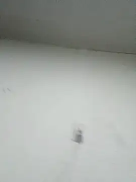 Nonname3 online show from 11/11/25, 05:18