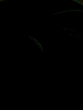 Snapshot of Smithy095 chatting on 11/01/25, 09:50 Smithy095 online show from 11/01/25, 09:50