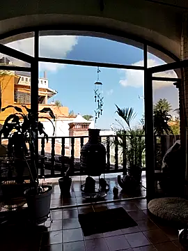 ACD0826 online show from 11/19/25, 07:36