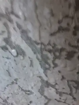 Snapshot of 3zekie1 chatting on 10/28/25, 02:20 3zekie1 online show from 10/28/25, 02:20