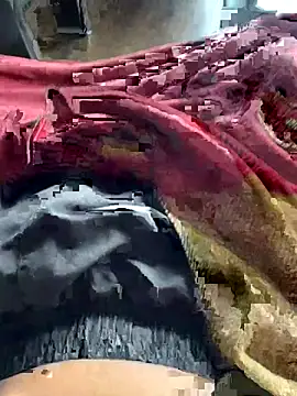 Snapshot of ankitmishra0527 chatting on 11/01/25, 11:45 ankitmishra0527 online show from 11/01/25, 11:45