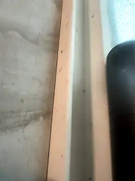 RobsBigD online show from 10/30/25, 06:19