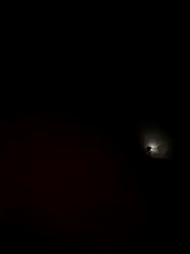 Snapshot of garoto19sex chatting on 11/06/25, 03:40 garoto19sex online show from 11/06/25, 03:40