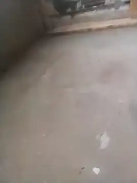 Snapshot of Lollittaxxxx2 chatting on 11/11/25, 10:15 Lollittaxxxx2 online show from 11/11/25, 10:15