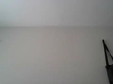 ivana latina online show from 11/17/25, 02:34