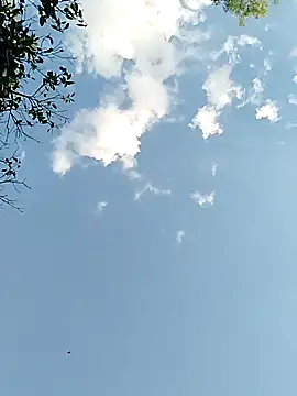 Snapshot of joselo2217 chatting on 11/25/25, 09:15 joselo2217 online show from 11/25/25, 09:15