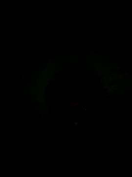 56849 online show from 11/16/25, 06:19