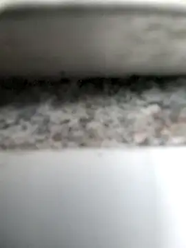 Rique00k online show from 11/15/25, 04:36