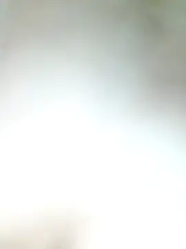 Snapshot of Pxrani chatting on 11/17/25, 03:29 Pxrani online show from 11/17/25, 03:29