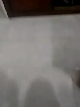 Snapshot of Zaginer chatting on 11/20/25, 10:31 Zaginer online show from 11/20/25, 10:31