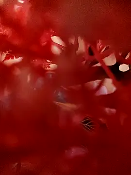 Jbsmaster online show from 11/19/25, 02:06