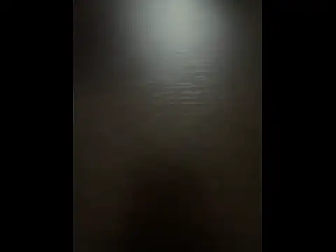 Snapshot of Pineapple chatting on 11/19/25, 04:40 Pineapple online show from 11/19/25, 04:40