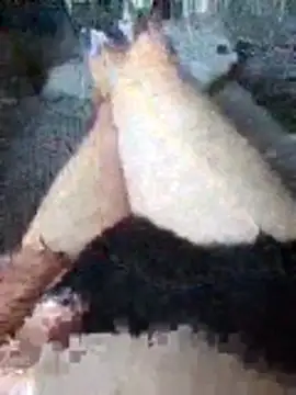 boo202179 online show from 11/21/25, 02:27