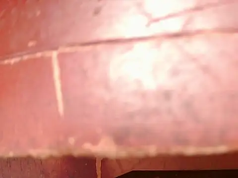 ashleey palmer online show from 11/26/25, 01:01