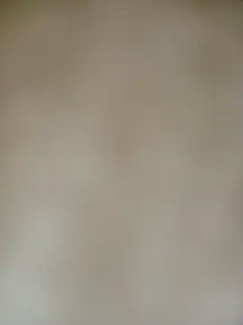 Rocky 0890 online show from 11/24/25, 09:36