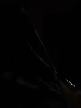 hot8veera online show from 12/02/25, 12:32