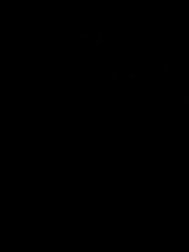 shunfaf online show from 02/02/25, 11:21