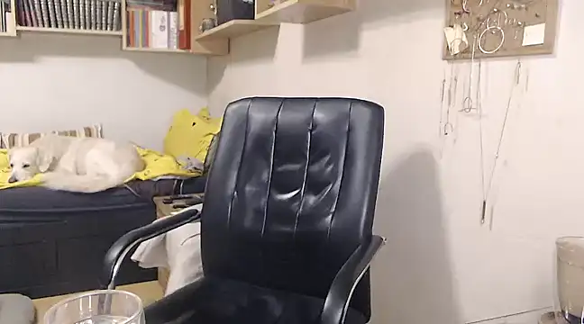 Snapshot of katemodel chatting on 12/21/24, 02:04 katemodel online show from 12/21/24, 02:04