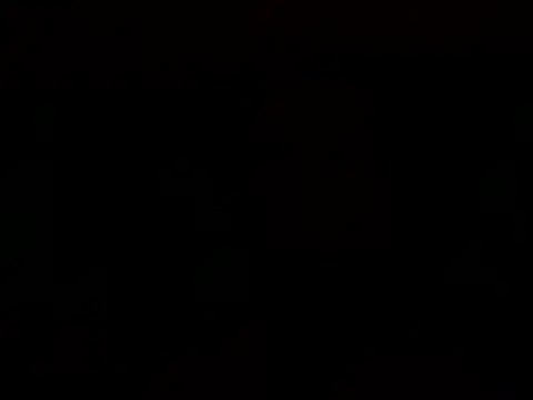 Tommyzzzzzz online show from 12/29/24, 02:17