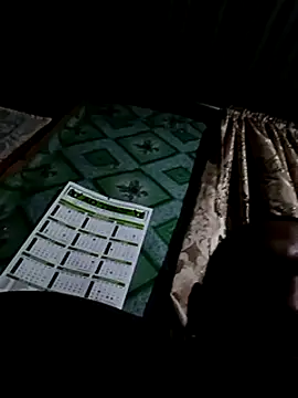 Snapshot of Camodick chatting on 02/02/25, 11:00 Camodick online show from 02/02/25, 11:00