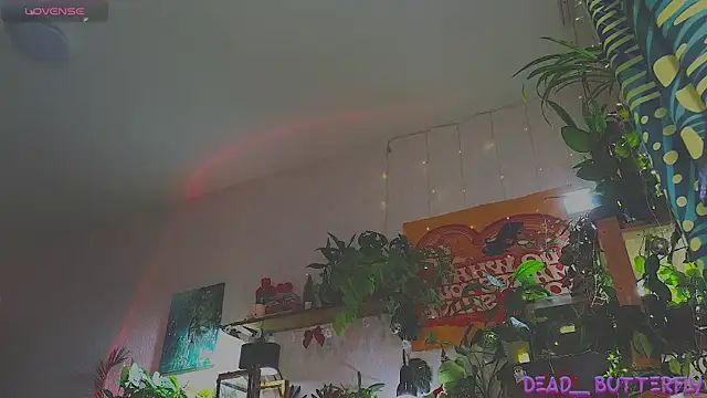 Snapshot of Dead_Butterfly chatting on 12/18/24, 11:02 Dead Butterfly online show from 12/18/24, 11:02